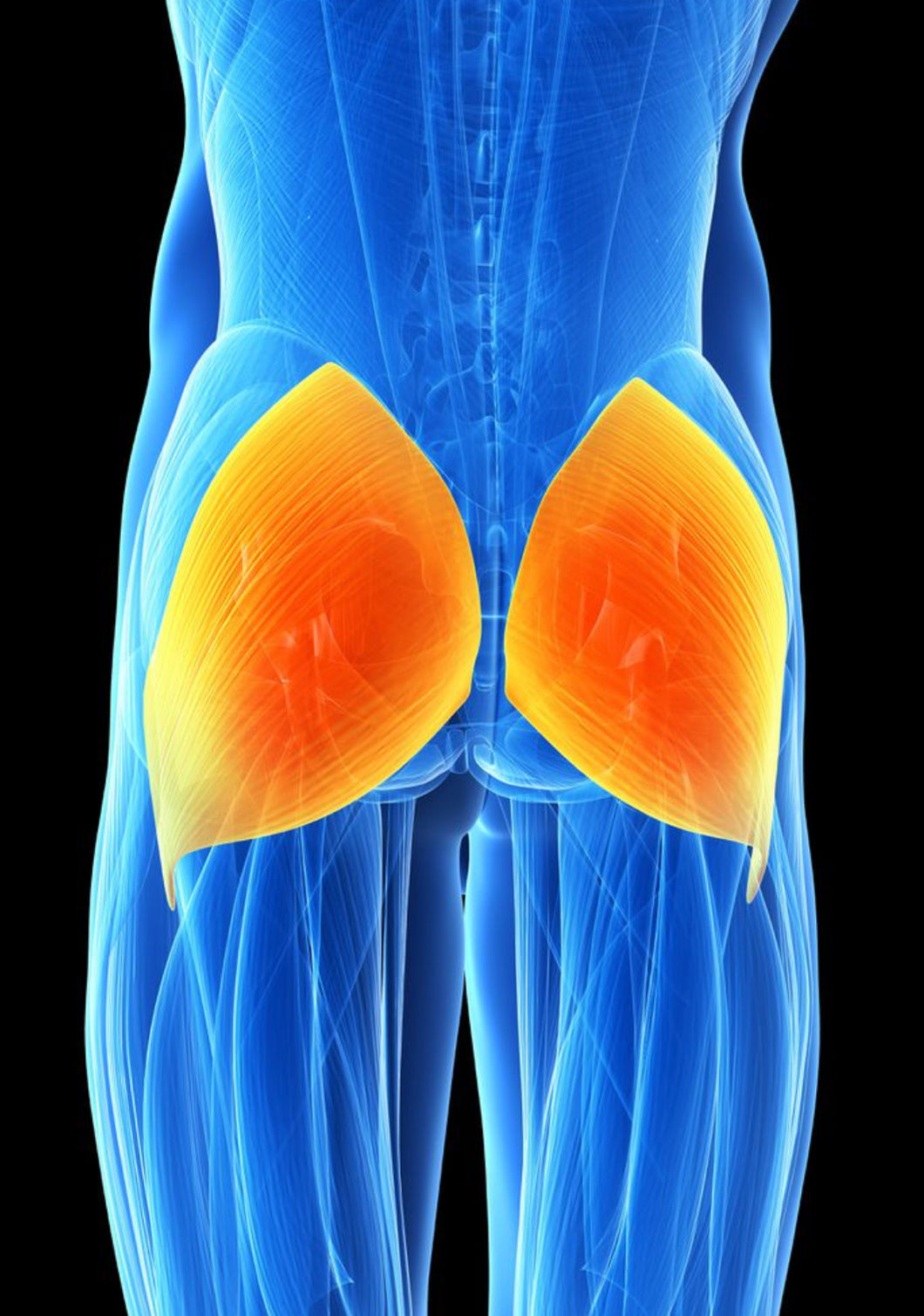 Soli's Bruised Bottom Bash December 13th - 8pm to 1am